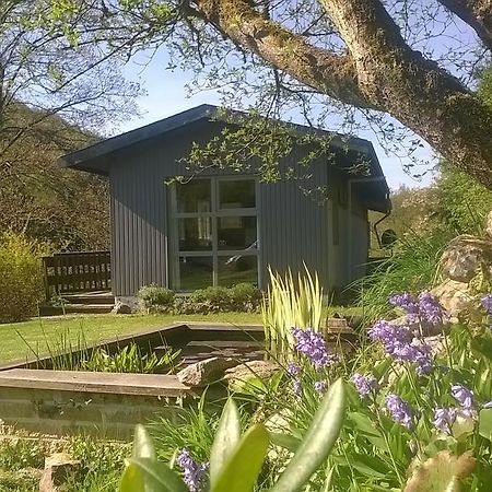 Au Phil Des Saisons Villa Arbre Exteriör bild